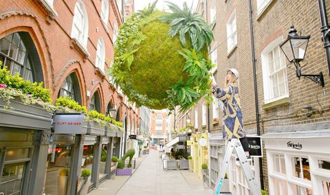 Anna Garforth, Rise kokedama-installation på St Christopher's Place, London