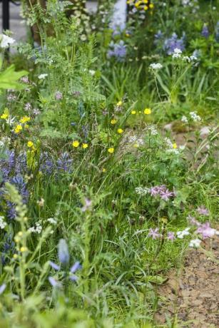 Chelsea Flower Show 2019 - Velkommen til Yorkshire garden af ​​Mark Gregory