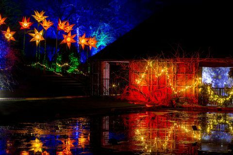 RHS Garden Wisley Christmas Glow-begivenhed