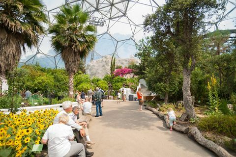 Eden Project besøgende i et af de smukke kupler