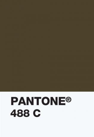Pantone Color Institue - 448c farveprøve - uigennemsigtig sofa