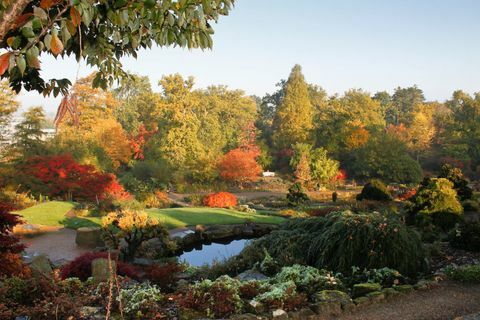 RHS Garden Wisley: The Rock Garden and Wild Garden at Wisley i efteråret