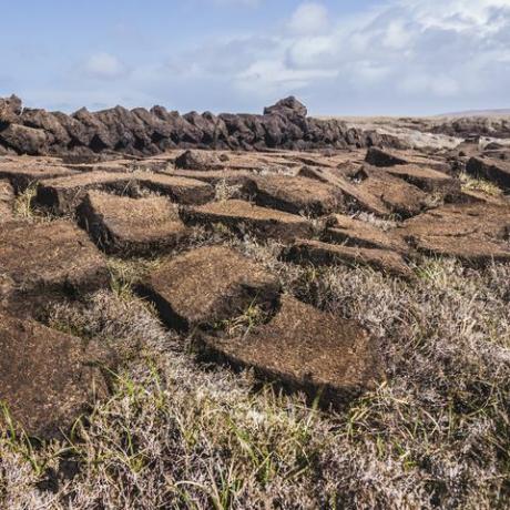 blokke af tørv tørring efter skæring