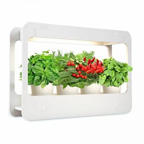 Mini LED Grow Kit