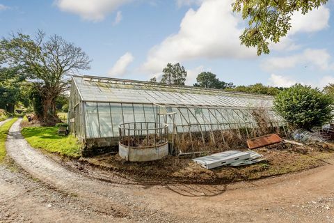 Rumleigh House - Yelverton - Devon - drivhus - Strutt og Parker