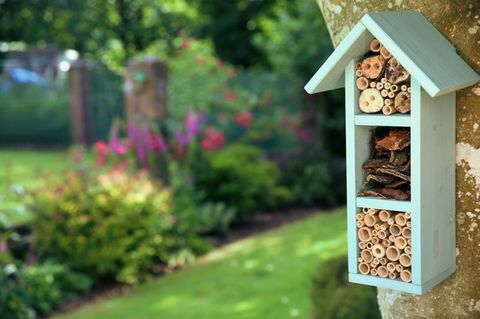 Wickes - Bee hotel