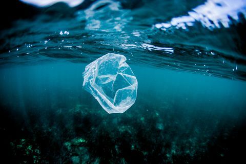 Plastpose flyder over revet i havet, Costa Rica