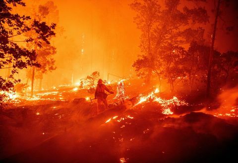 køn afslører løbeild california