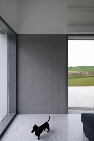 House Lessans, et udsøgt enkelt hjem i County Down designet af McGonigle McGrath, er blevet udnævnt til RIBA House of the Year 2019
