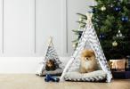 Aldi Special Buys: Aldi Selling £ 39,99 Pet sovesofa til jul