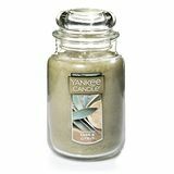 Sage & Citrus Large Jar Candle 