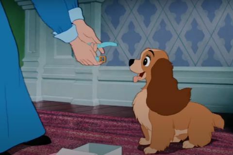 bedste romantiske film nogensinde lady and the tramp