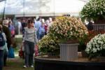 RHS Malvern Autumn Show 2022: Datoer, billetter, højdepunkter