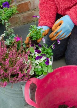 børns haveprojekter plantebeholdere