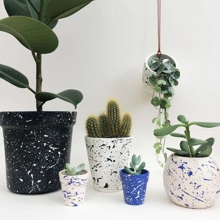 Mini Splatter Plantepotter Vælg dine farver