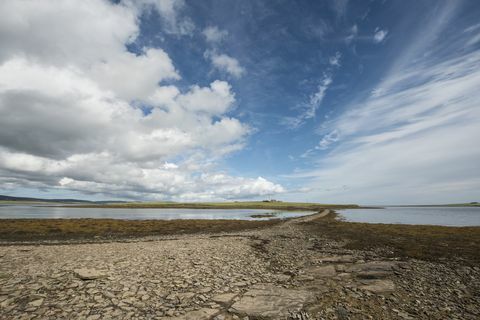 Holm of Grimbister - Skotland - Orkney - kørselsvej - Savills