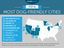 Mest hundevenlige byer i USA