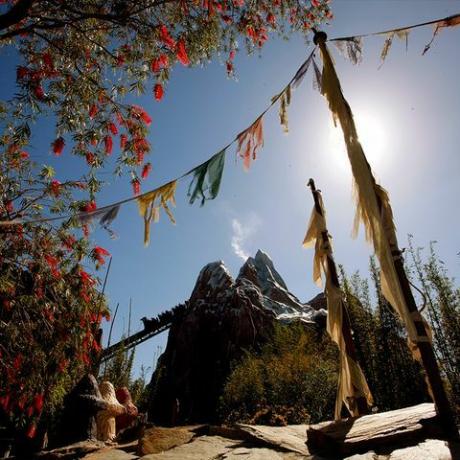 bedste disney fotos everest coasters 