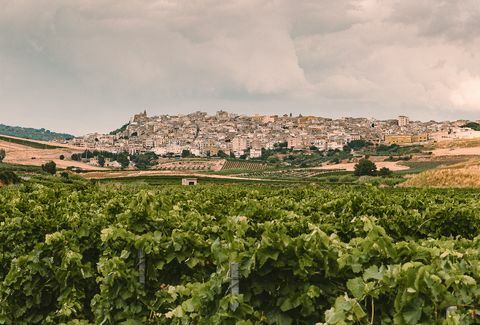 bo lejefrit i et år på Sicilien med airbnb