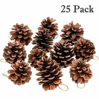 Naturlige Pine Cone Ornaments 