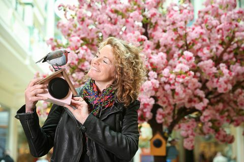 Kate Humble Tweet Tree