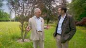 Prins Charles opfordrer gartnere til at stille 3 vigtige spørgsmål, før de køber planter