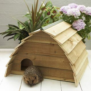 Træ hedgehog hus