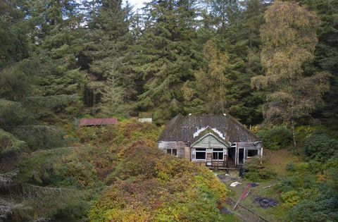 en ø på omkring 103 hektar beliggende ud for den vestlige bred af den sydlige loch lomond er til salg