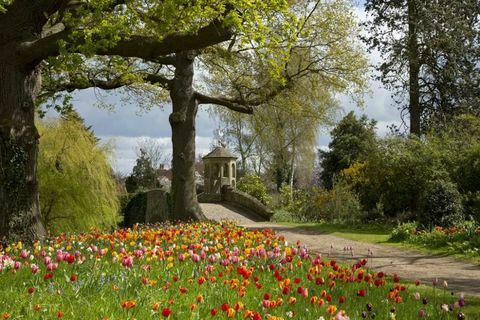 Dunsborough Park - Surrey - blomster - Savills