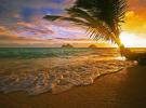 Hawaii vil betale dig $ 60.000 for at arbejde i paradis