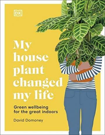 Min stueplante ændrede mit liv: Grønt velvære til det store indendørs