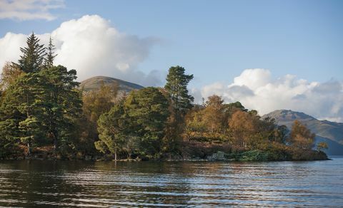 en ø på omkring 103 hektar beliggende ud for den vestlige bred af den sydlige loch lomond er til salg