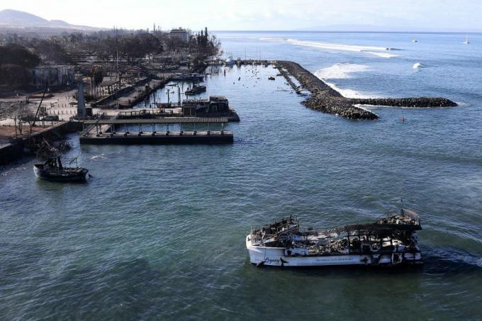 snesevis dræbt i en naturbrand i Maui, der efterlod byen lahaina ødelagt