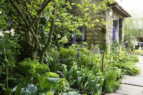 Chelsea Flower Show 2019 - Velkommen til Yorkshire garden af ​​Mark Gregory