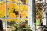 11 måder at forberede dit hjem til efteråret