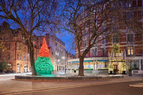 The Connaught Christmas tree 2018 foto