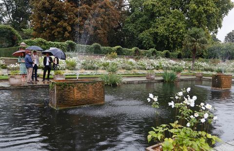 William, Harry og Kate i Memorial Garden for Prinsesse Diana