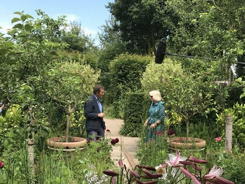 camilla, hertuginde af cornwall, der bliver interviewet om sin have under en optræden på bbc -program gartneres verden