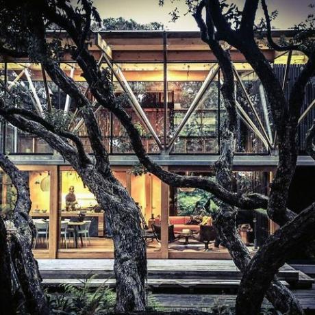 Glashus i skov fra BBC 2 viser verdens mest ekstraordinære hjem