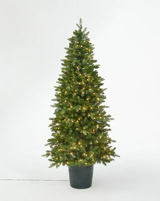 Bala Green Potted Forbelyst juletræ, 7 fod