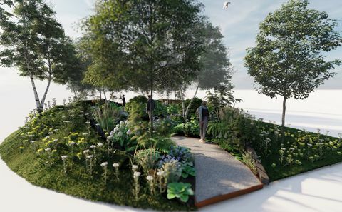 rhs forest bathing garden, rhs feature garden, designet af dave green, rhs hampton court palace garden festival 2022