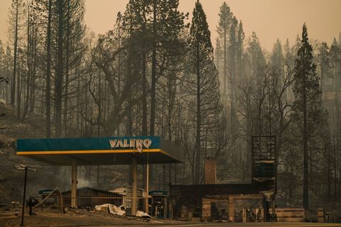 bækbrand i Sierra National Forest