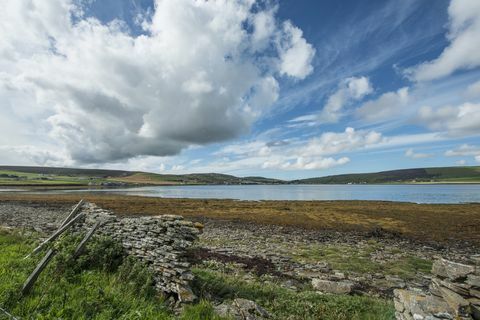 Holm of Grimbister - Skotland - Orkney - grunde - Savills