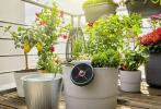 Chelsea Flower Show: Dobbies vinder bedste bæredygtige haveprodukt