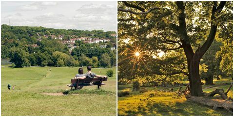 Hampstead Heath / Richmond Park, Londons bedste picnicpladser