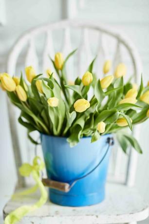 Farverige forår blomster og delikate dufte