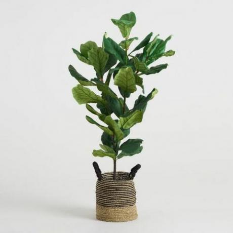 Faux Fiddle-Leaf Fig. Plante