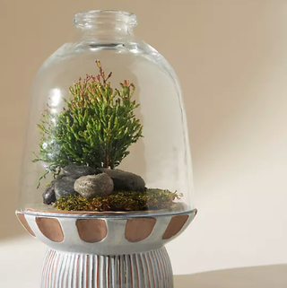 Greater Earth Terrarium