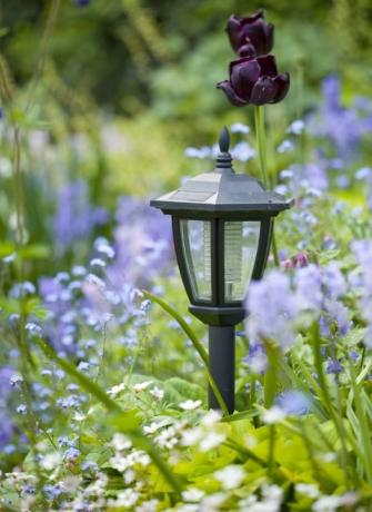 Solar Garden Light: Sollysdrevet havelamper