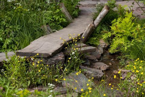 et rewilding britisk landskab designet af lulu urquhart og adam hunt sponsoreret af projekt give tilbage til støtte for rewilding britain show garden rhs chelsea flower show 2022